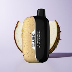 Ananas Kokos IGET Moon K5000 5000 Puffs PC Material