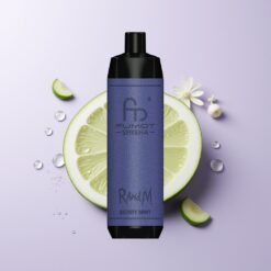 Bær Mynte RandM Fumot Shisha 10000 Puffs 18ml