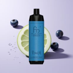 Blåbær Drue RandM Fumot Shisha 10000 Puffs 0.6ohm Mesh Coil