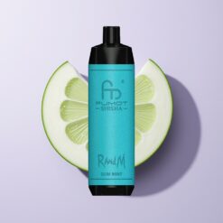 Gum Mynte RandM Fumot Shisha 10000 Puffs Type-C 18ml