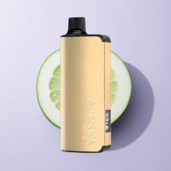 Kølig Mynte Alibarbar Ingot 9000 Puffs 22ml LED