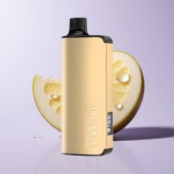 Mango Magi Alibarbar Ingot 9000 Puffs 22ml 2350mah