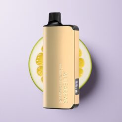 Passionsfrugt Mango Lime Alibarbar Ingot 9000 Puffs 22ml LED