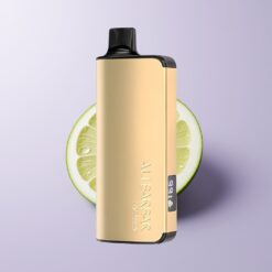 Tobak Alibarbar Ingot 9000 Puffs 22ml LED Skærm