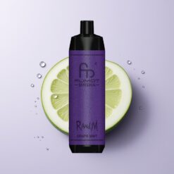 Vindrue Mynte RandM Fumot Shisha 10000 Puffs 0.6ohm Mesh Coil