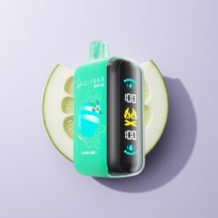 ELF BAR RAYA D3 25000 Puffs Engangsdamp Alpemynte med 23ml og Type-C