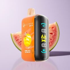 ELF BAR RAYA D3 25000 Puffs Mango Fersken Vandmelon Opaladbar Skærm Type-C